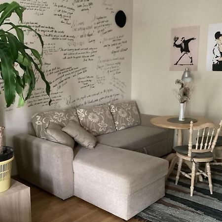 Hygge Home - Artistic Style Apartment With Free Parking Friday 7 Pm - Monday 8 Am Tartu Exterior foto